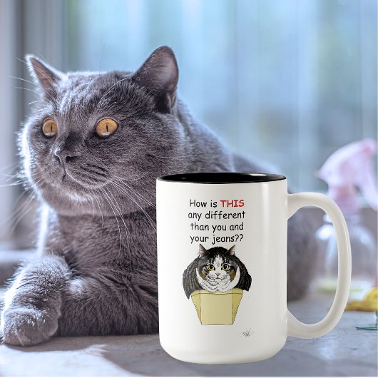 Funny Chubby Tabby Cat Box Zweifarbige Tasse