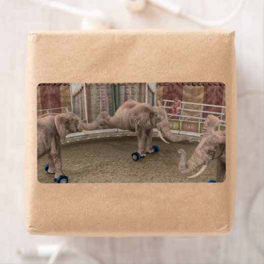 Funny Circus Elephants (Insitu)