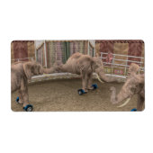 Funny Circus Elephants (Vorne)