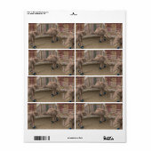 Funny Circus Elephants (Vorne)