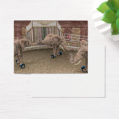 Funny Circus Elephants (Schreibtisch)