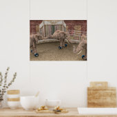 Funny Circus Elephants Poster (Küche)