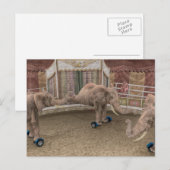 Funny Circus Elephants Postkarte (Vorne/Hinten)