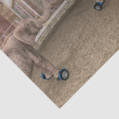 Funny Circus Elephants Seidenpapier (Ausschnitt)