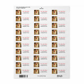 Funny Close Up of Impasto Chicken that looks Mad (Vorne)