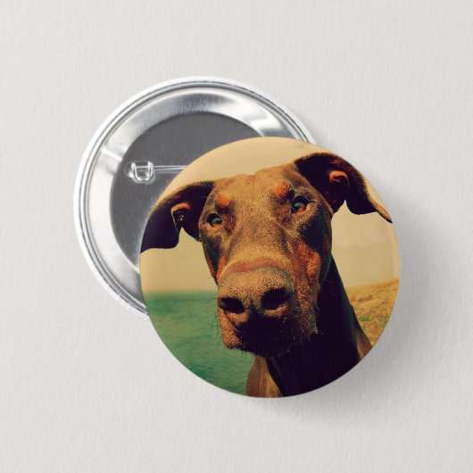 Funny Closeup of a Natural Doberman Dog Button (Vorne & Hinten)