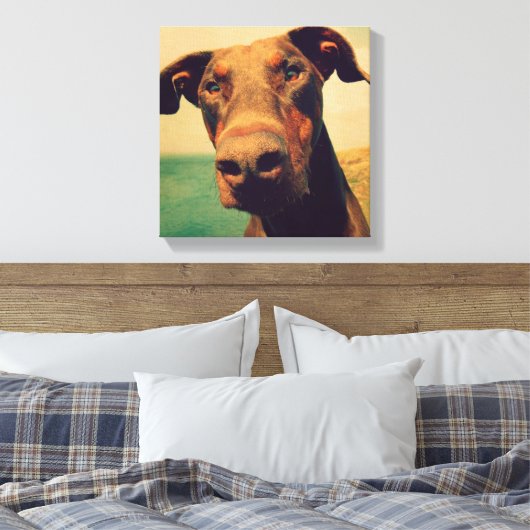 Funny Closeup of a Natural Doberman Dog Leinwanddruck (Insitu (Schlafzimmer))
