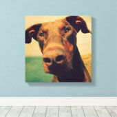Funny Closeup of a Natural Doberman Dog Leinwanddruck (Insitu (Holzboden))