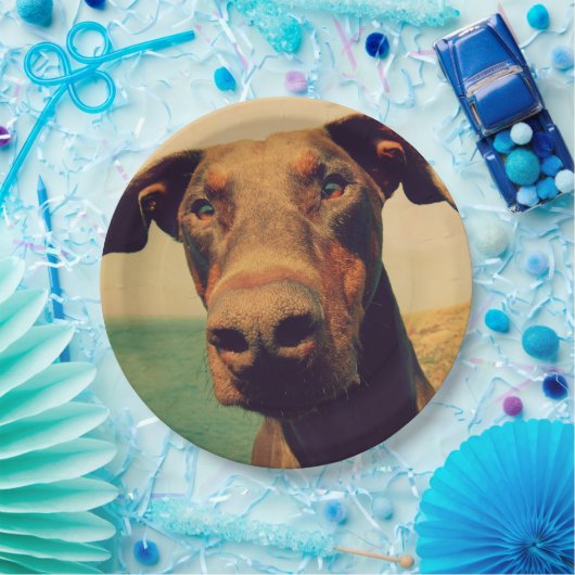 Funny Closeup of a Natural Doberman Dog Pappteller (Party)