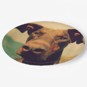 Funny Closeup of a Natural Doberman Dog Pappteller (Schrägansicht)