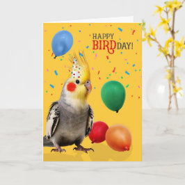 Funny Cockatiel Parrot Birthday Humor Karte