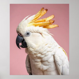 Funny Cockatoo mit französischem Wappen Poster
