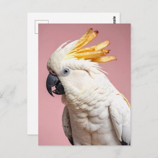 Funny Cockatoo mit französischem Wappen Postkarte (Vorne/Hinten)