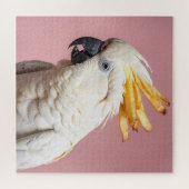 Funny Cockatoo mit französischem Wappen Puzzle (Horizontal)