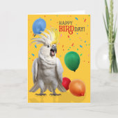 Funny Cockatoo Parrot Birthday Humor Karte (Vorderseite)