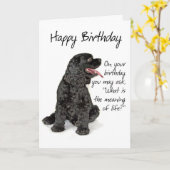 Funny Cocker Spanel Birthday Card Karte (Gelbe Blume)