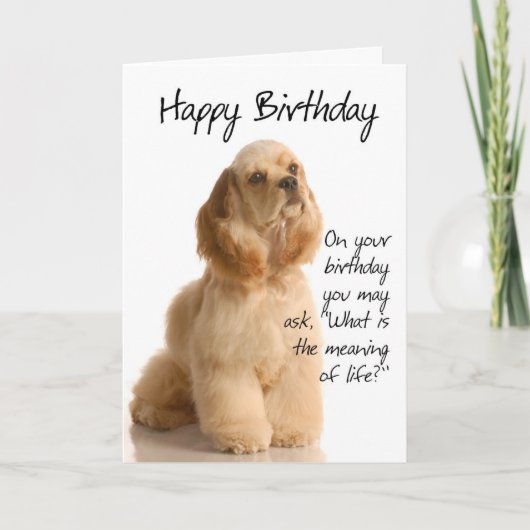 Funny Cocker Spanel Birthday Card Karte (Vorderseite)