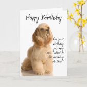 Funny Cocker Spanel Birthday Card Karte (Gelbe Blume)