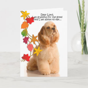 Funny Cocker Spaniel Thanksgiving Card Feiertagskarte