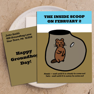 Funny Coin Toss Groundhog Day Postcard Postkarte