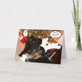 Funny Collie & Black Cat Weihnachtskarte Feiertagskarte