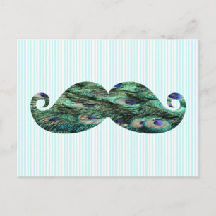 Funny Colorful Peacock Feathers Mustache Postkarte