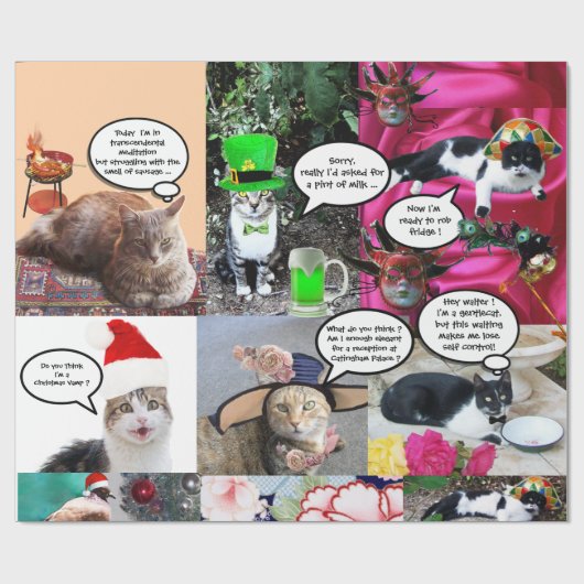 FUNNY COMIC STRIPS VON WEIRD TALKING CATKATZEN 2 GESCHENKPAPIER (Flach)