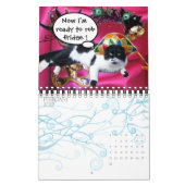 FUNNY COMIC STRIPS VON WEIRD TALKING CATS 2014 KALENDER (Feb 2027)