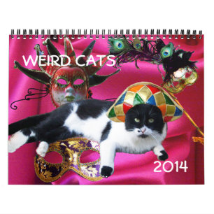 FUNNY COMIC STRIPS VON WEIRD TALKING CATS 2014 KALENDER
