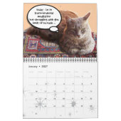 FUNNY COMIC STRIPS VON WEIRD TALKING CATS 2015 KALENDER (Jan 2027)