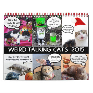 FUNNY COMIC STRIPS VON WEIRD TALKING CATS 2015 KALENDER