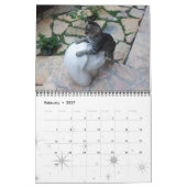 FUNNY COMIC STRIPS VON WEIRD TALKING CATS 2015 KALENDER (Feb 2027)