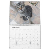 FUNNY COMIC STRIPS VON WEIRD TALKING CATS 2015 KALENDER (Jan 2027)