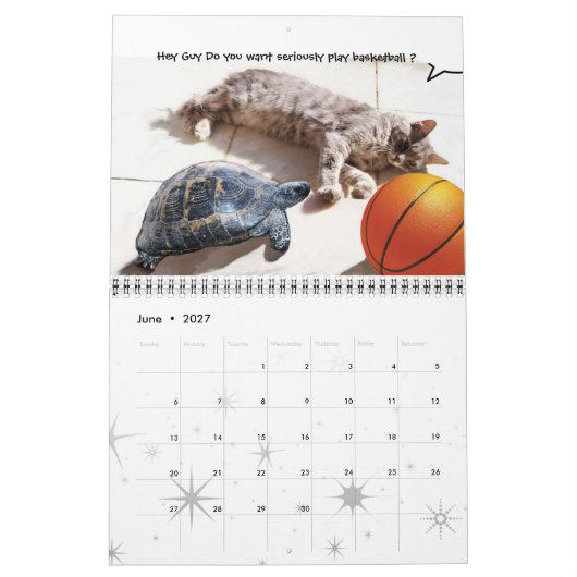 FUNNY COMIC STRIPS VON WEIRD TALKING CATS 2015 KALENDER (Jun 2027)