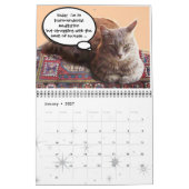 FUNNY COMIC STRIPS VON WEIRD TALKING CATS 2016 KALENDER (Jan 2027)