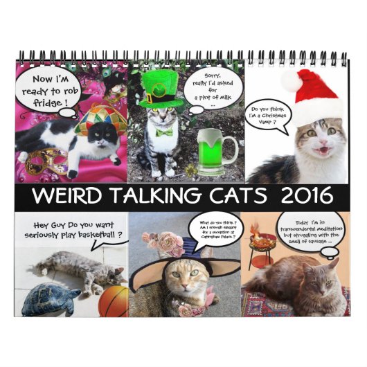 FUNNY COMIC STRIPS VON WEIRD TALKING CATS 2016 KALENDER (Titelbild)