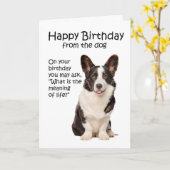 Funny Corgi Birthday Card Karte (Gelbe Blume)