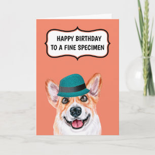 Funny corgi dog to vater Mutter Feinwein Spaß Karte