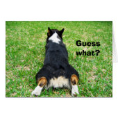 Funny Corgi Hintern Ratet was Spaß Card (Vorderseite (Horizontal))