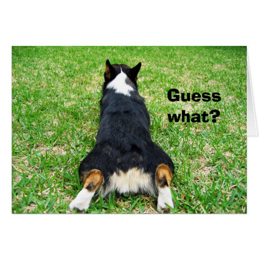 Funny Corgi Hintern Ratet was Spaß Card (Vorderseite (Horizontal))