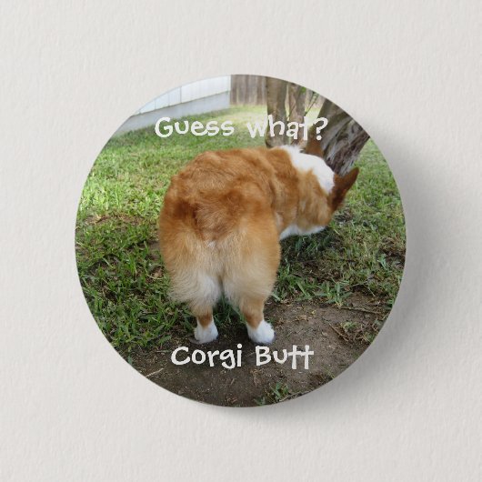 Funny Corgi Hintern Ratet Was Spaß Foto Button (Vorderseite)
