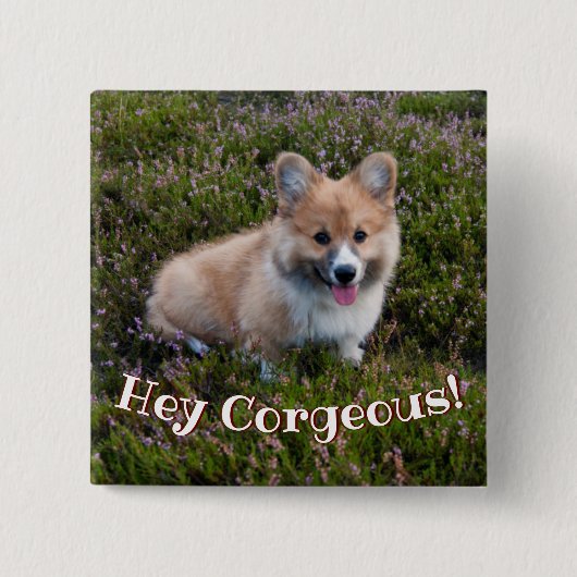 Funny Corgi Puppy Pun Button (Vorderseite)