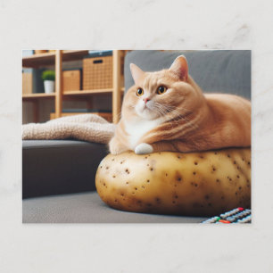 Funny Couch Potato Cat Postkarte