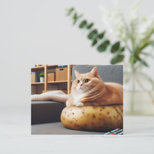 Funny Couch Potato Cat Postkarte (Stehend Vorderseite)