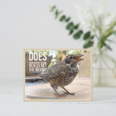 Funny Cover Text Bird Foto Postkarte (Stehend Vorderseite)
