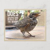 Funny Cover Text Bird Foto Postkarte (Vorderseite)