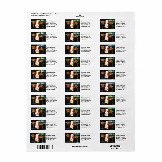 Funny Cow Face (Vorne)