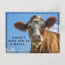 Funny Cow Glasses Country Western Ranchers Tales Postkarte