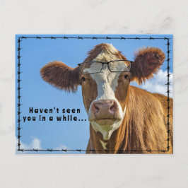 Funny Cow Glasses Ranchers Country Western Tales Postkarte