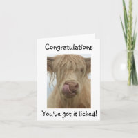 Funny Cow Glückwunschkarte